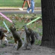 Illustration for article titled Portlands Quipster Cop: Lightsaber Edition